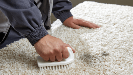 Professional Rug Cleaning Whittlesea